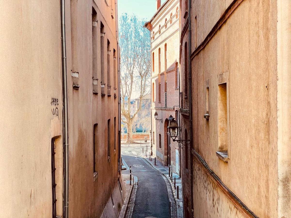 Merveilleux T2 De Standing A 90M De La Garonne トゥールーズ エクステリア 写真
